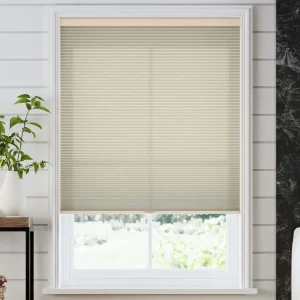 Lifestyle Light Filtering Cellular Shades