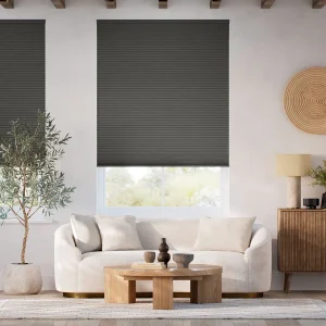 Premier Honeycomb Blackout Shades